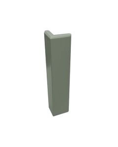 Craftsman Green Shaker Toe Kick End Cap Tampa - Amazon Homes Global