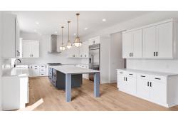 Colorado White Shaker Tampa - Amazon Homes Global